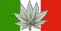 versione italiana